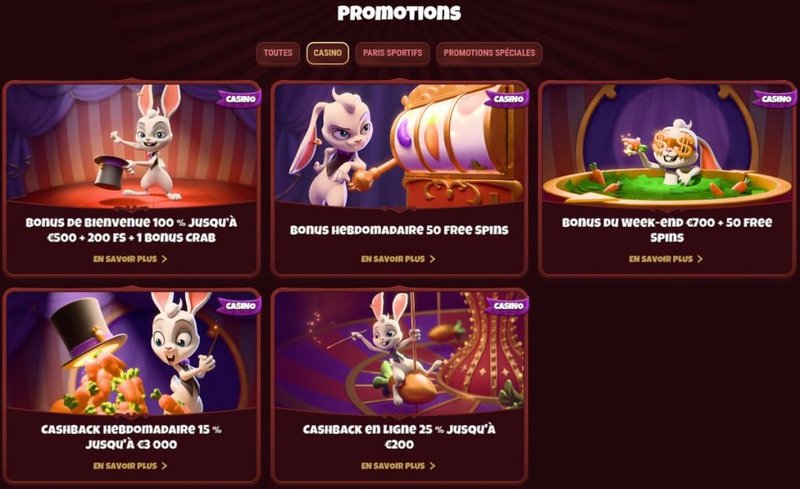 France - magius casino France